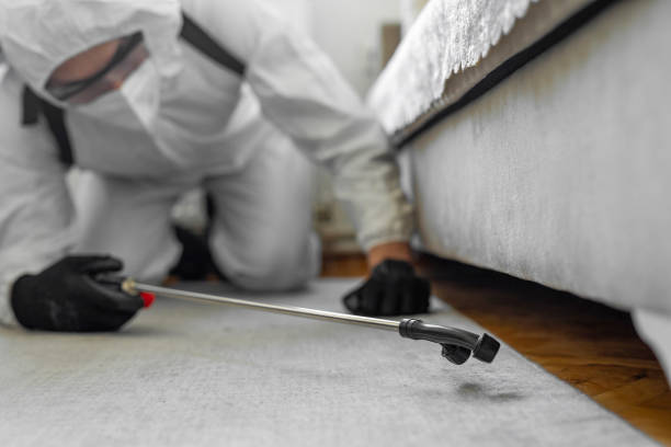 Professional Bed Bug Control technician working in Newberg, OR