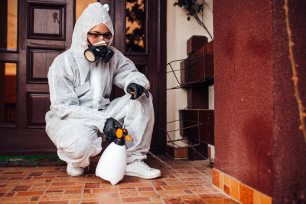 Reliable Bed Bug Control contractor in Newberg, OR by Nex Pest Control